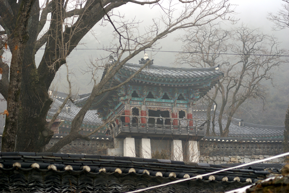 DSC07310-2.jpg