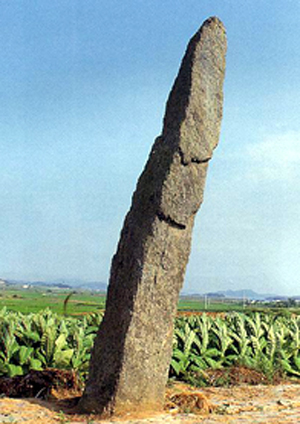 APHE3.jpg