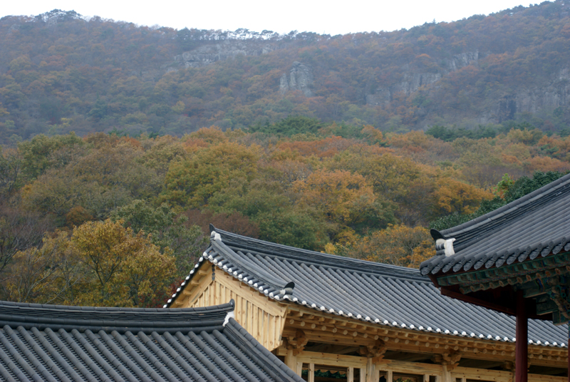 DSC02693-2.jpg