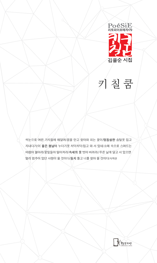 김을순시집표지2-0.jpg