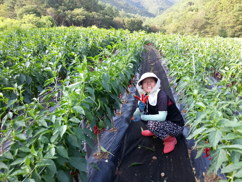 KakaoTalk_20160816_135057300.jpg