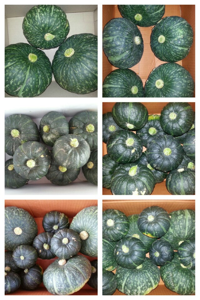 KakaoTalk_20160816_134912233.jpg