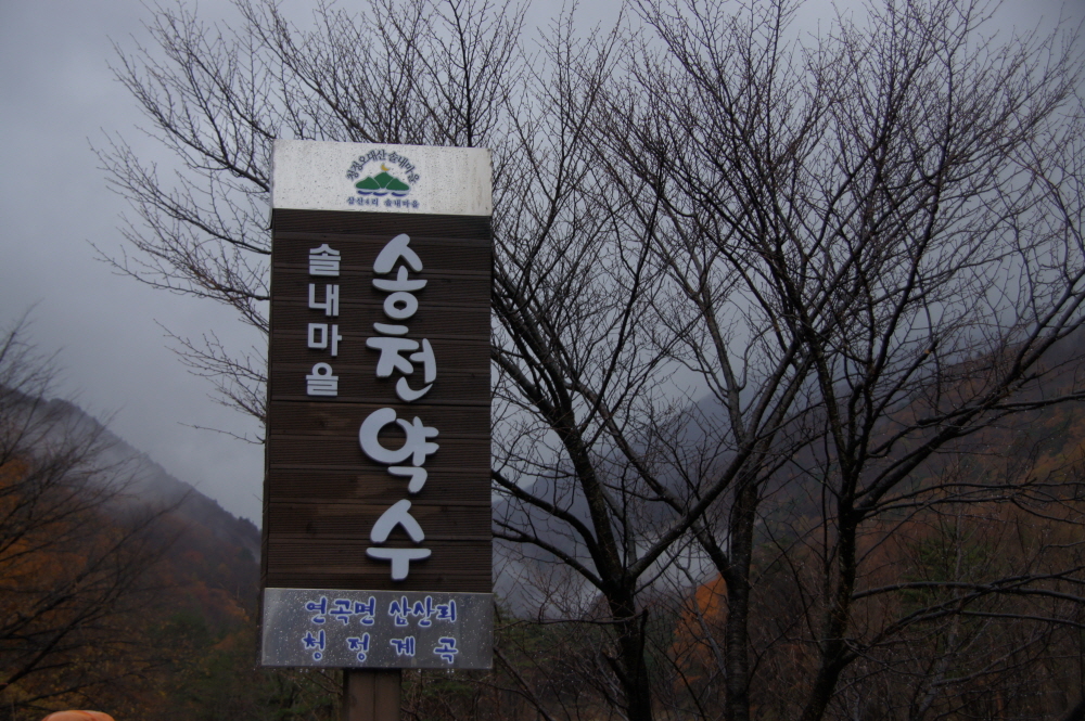 93.JPG