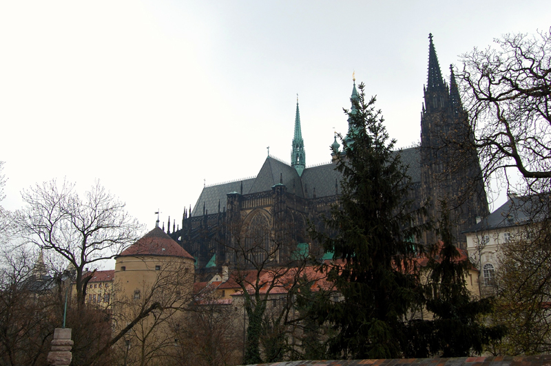 DSC_0873-3.jpg