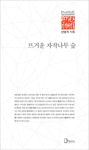안명옥시집0.jpg